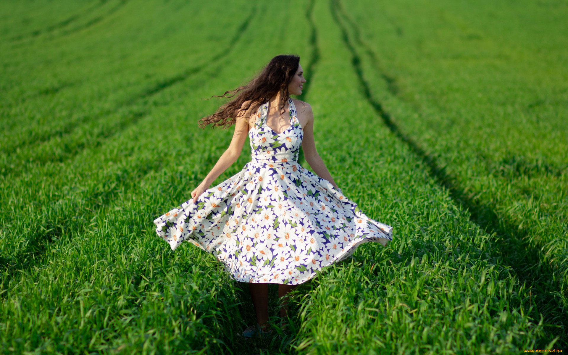 Фото девушка в поле со спины